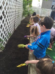 earth day planting 